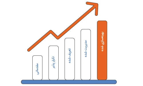 سطوح بلوغ سازمانی